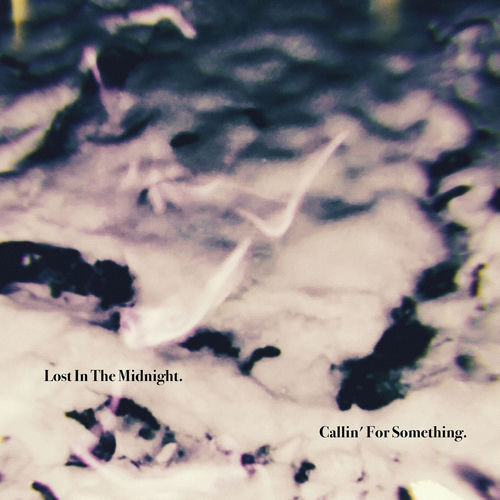 lost in the midnight